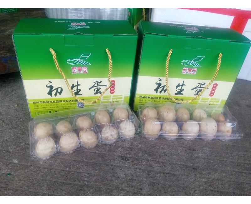 新富民初生蛋-源于天然 滋補(bǔ)有道。